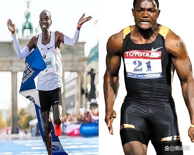 包含非洲选手奋勇拼搏,为荣誉而战!的词条