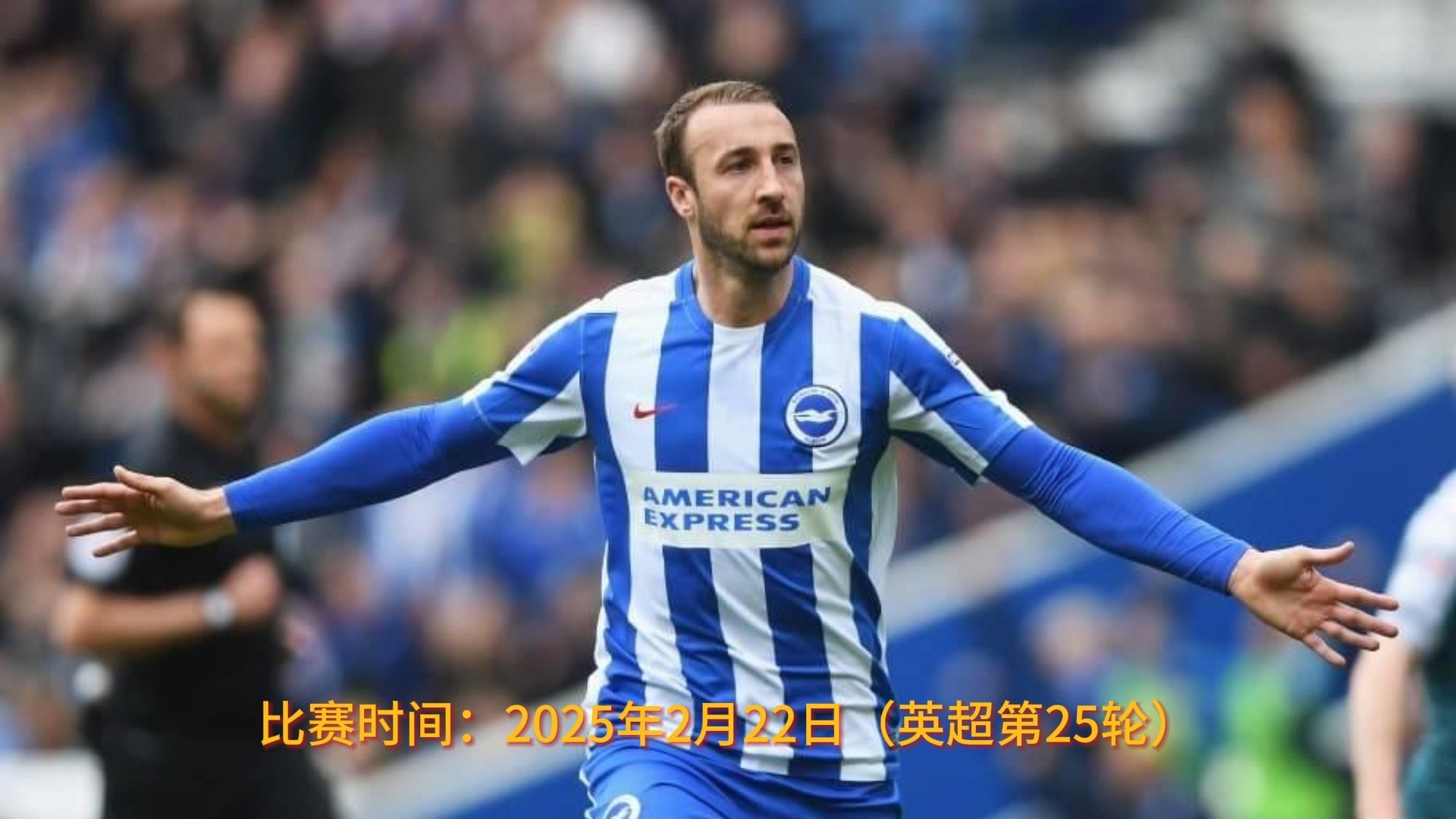 南安普顿队在比赛中拼尽全力 南安普顿队在比赛中拼尽全力